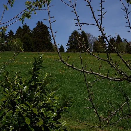Haus Lichtblick Apartment *
