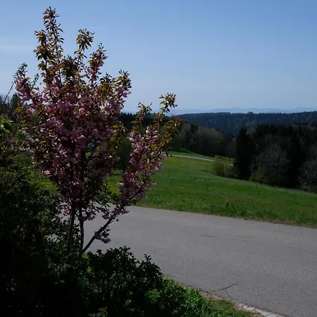 Haus Lichtblick Apartment Dachsberg im Schwarzwald